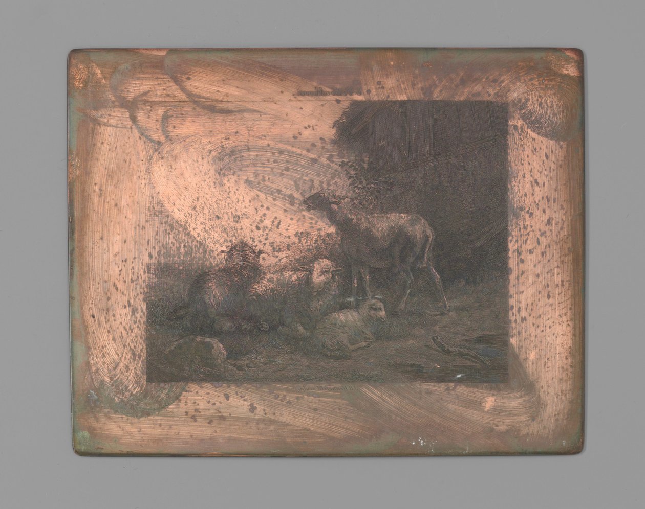 Fyra får av Johann Heinrich Maria Hubert Rennefeld (signed by artist)