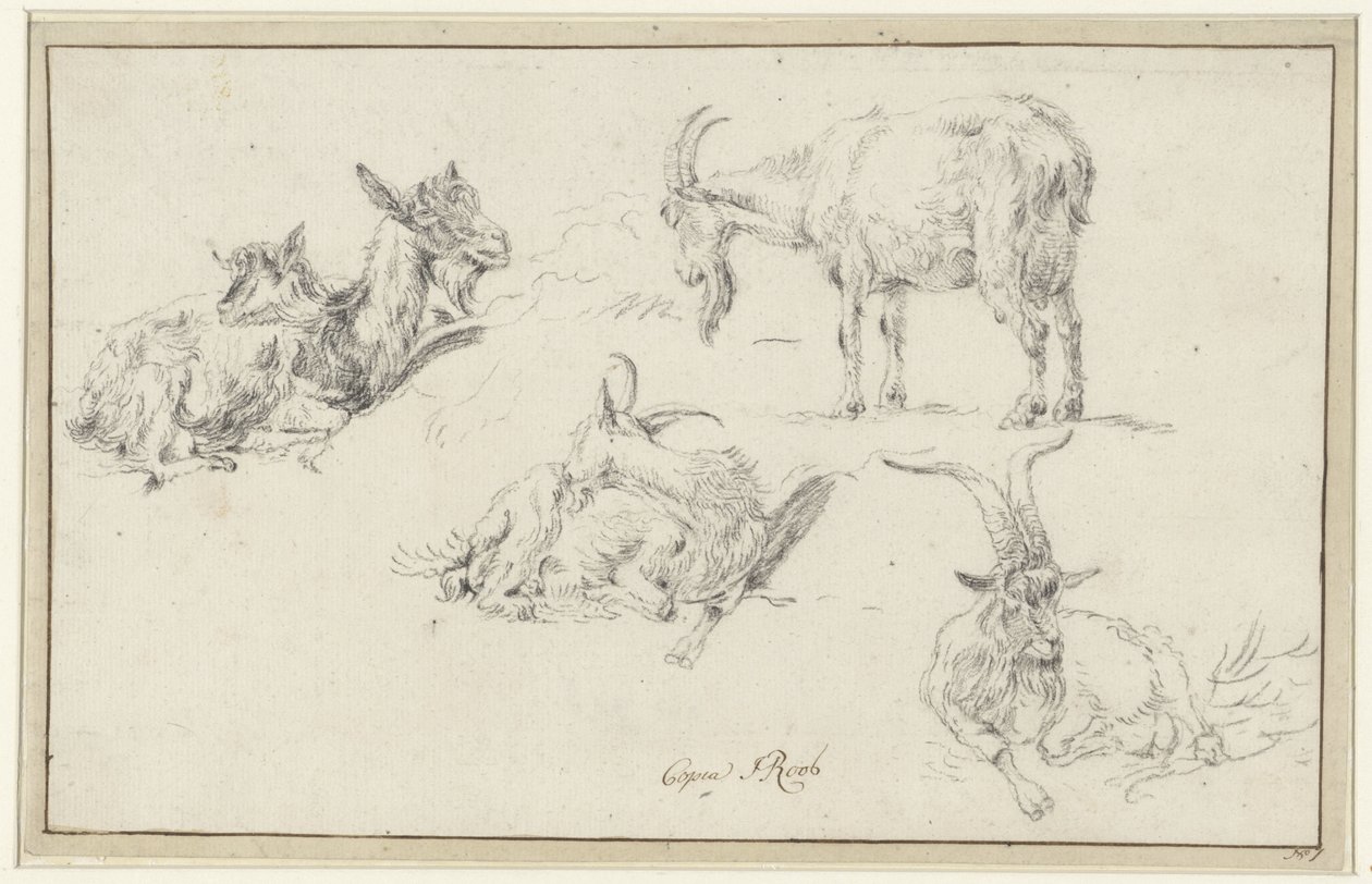 Studier av en get av Johann Heinrich Roos (possibly)