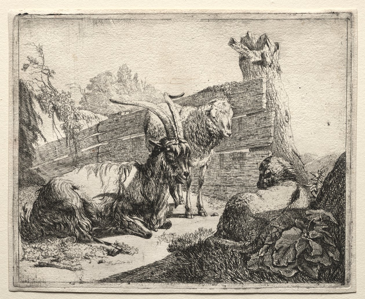 Häcken av Johann Heinrich Roos