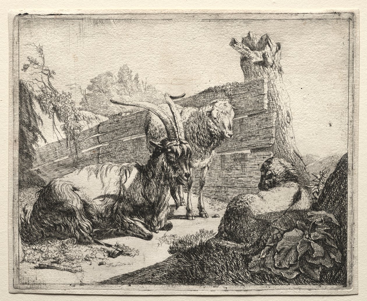 Häcken, 1665. av Johann Heinrich Roos
