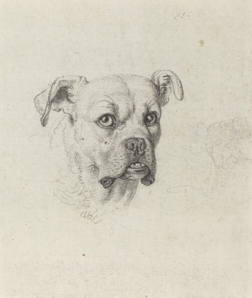 En boxare av Johann Heinrich Wilhelm Tischbein