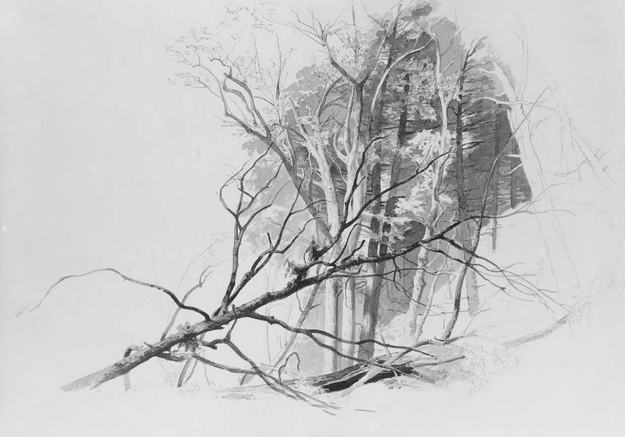 Skogsscen, . av Johann Hermann Carmiencke