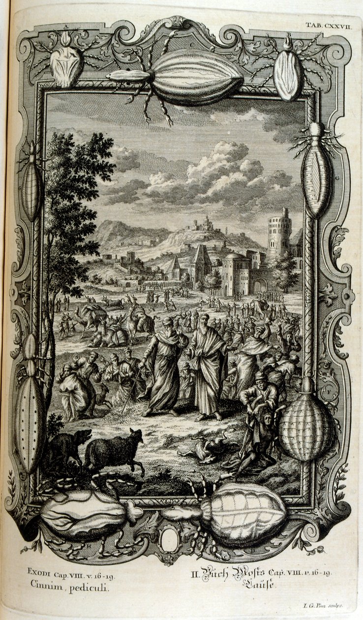 Pest av löss och myggor av Johann Jakob Scheuchzer
