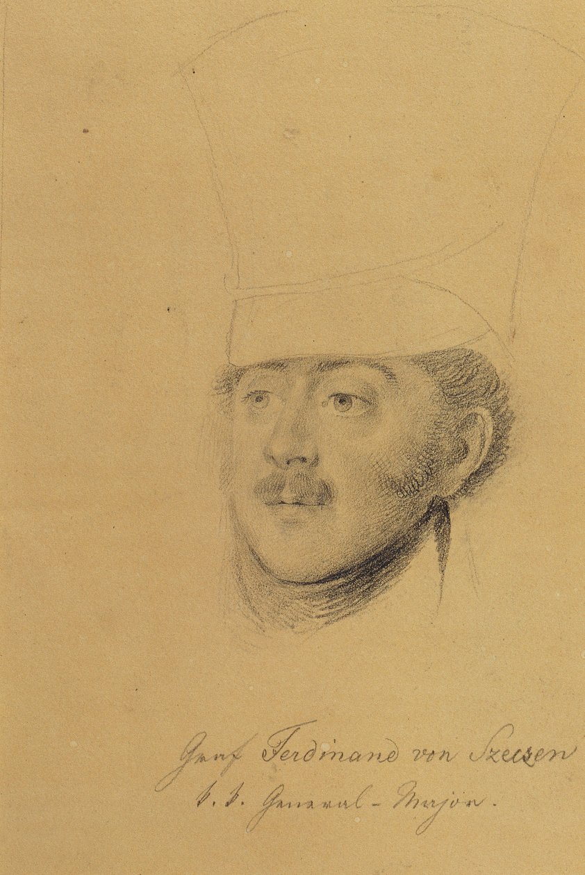 Greve Ferdinand av Szeczen av Johann Peter Krafft