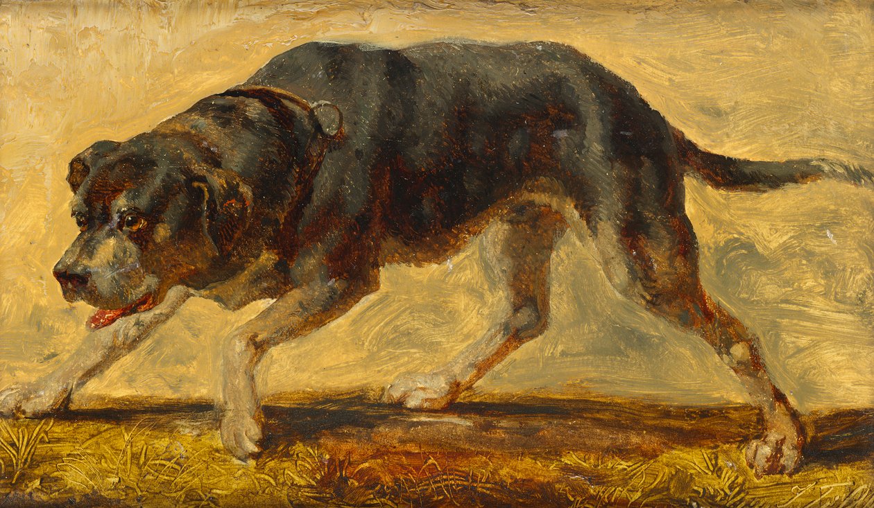 hundstudie av Johann  Till der Jüngere