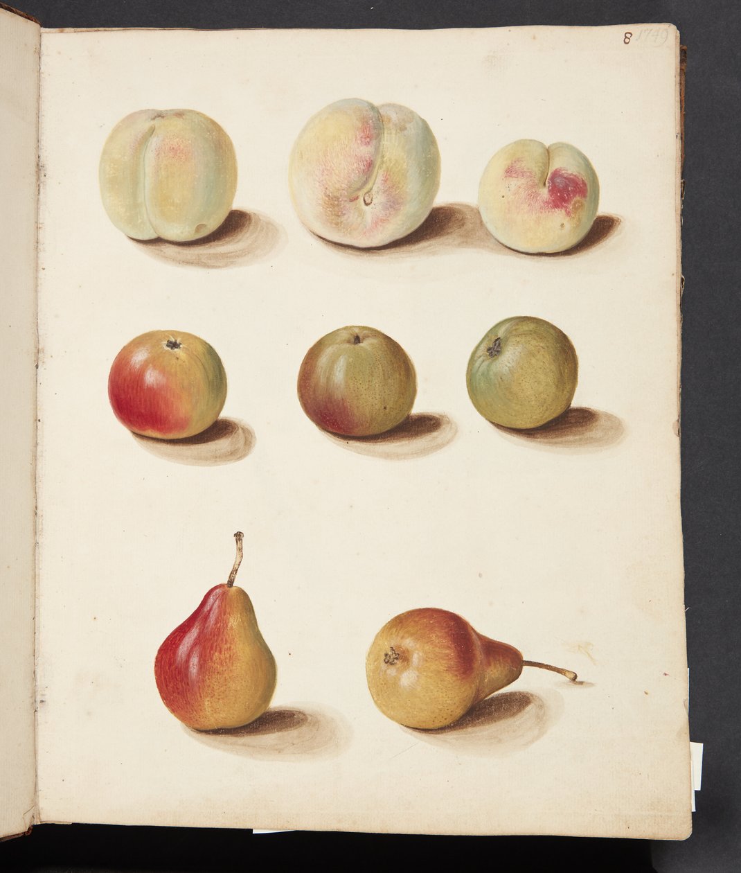 Studie av persika, äpple och päron av Johanna Fosie