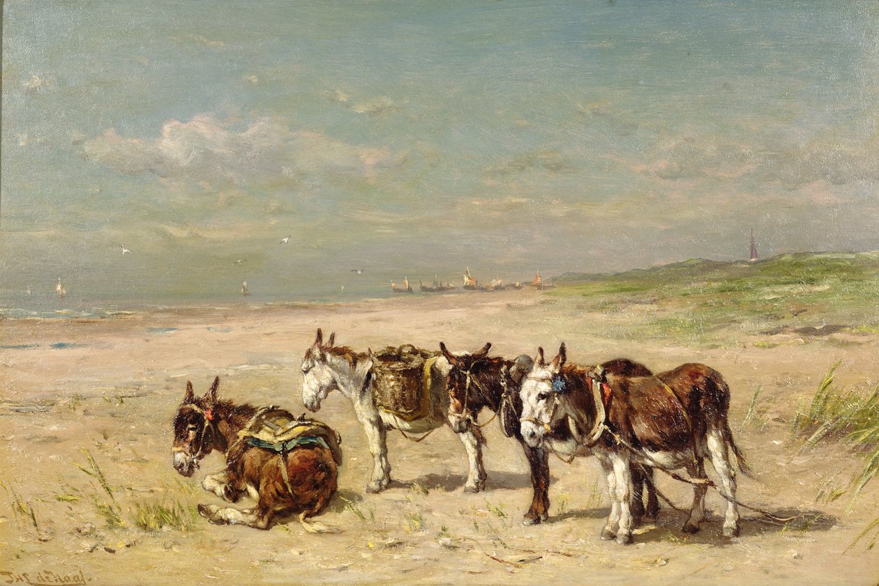 Åsnor på stranden av Johannes Hubertus Leonardus de Haas