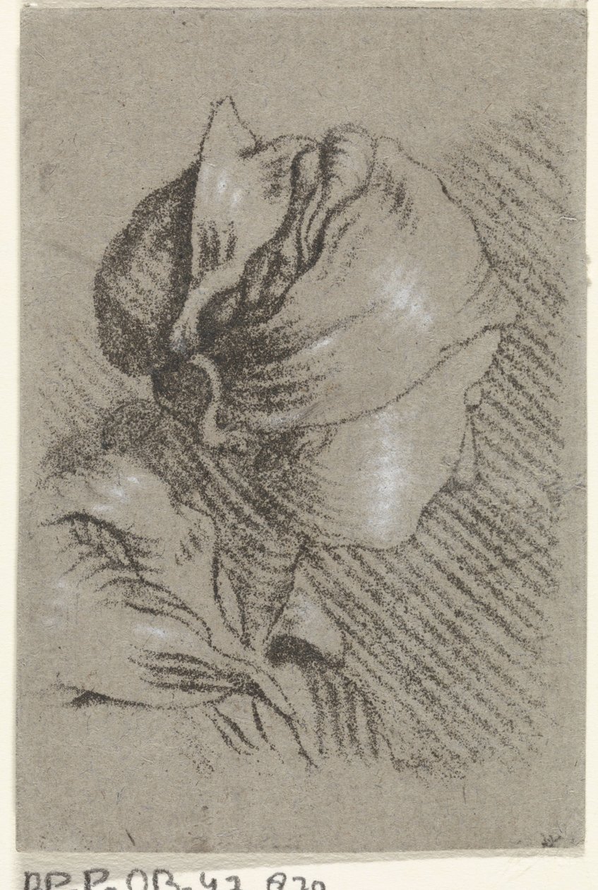 Kvinna byst av Johannes Janson (possibly)