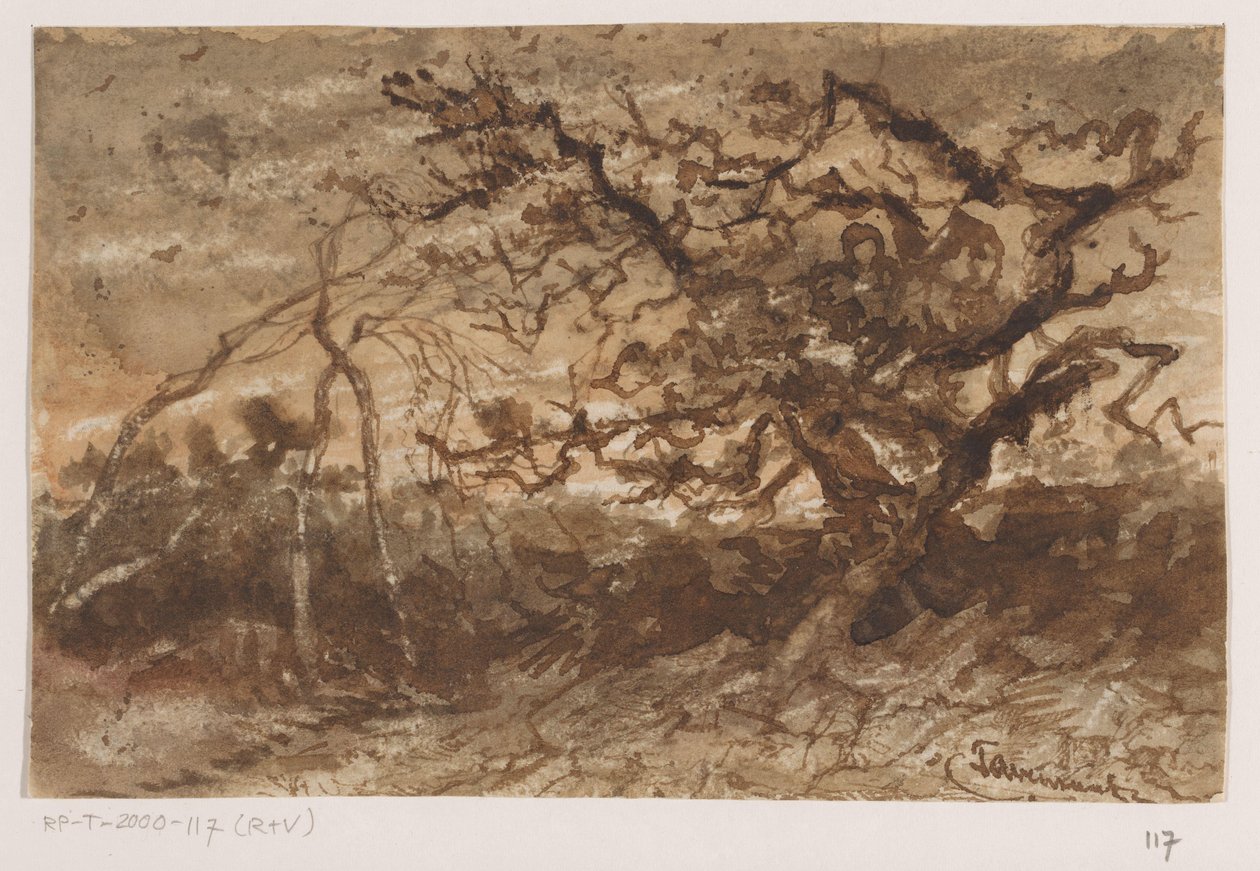 Träd vid solnedgången av Johannes Tavenraat (signed by artist)