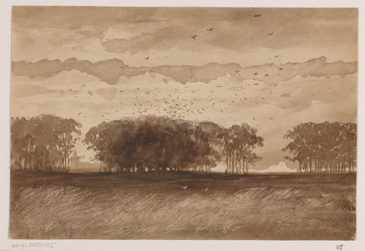 Rookery i Norra Brabant av Johannes Tavenraat (signed by artist)