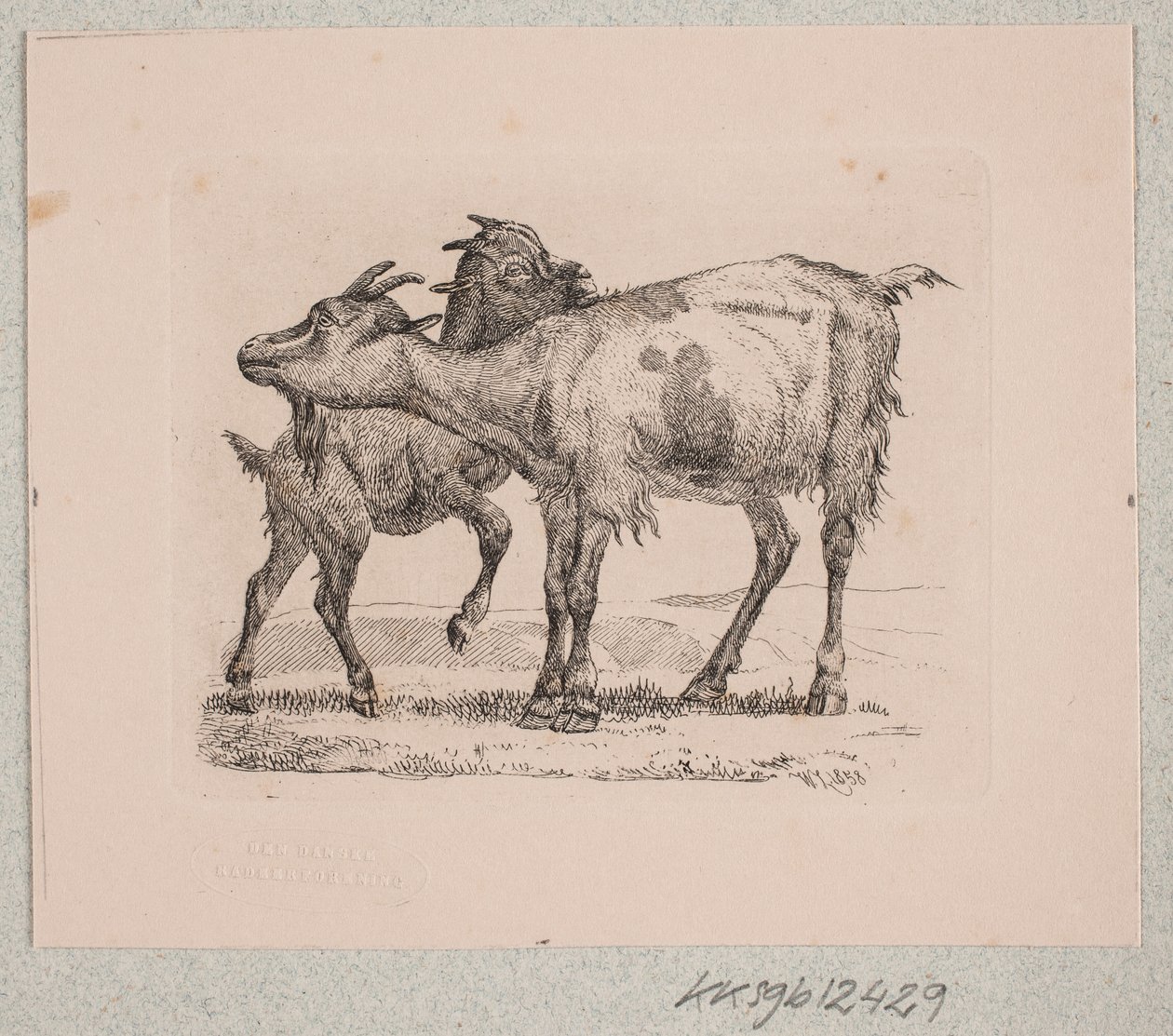 En get med sin unge av Johannes Wilhelm Zillen