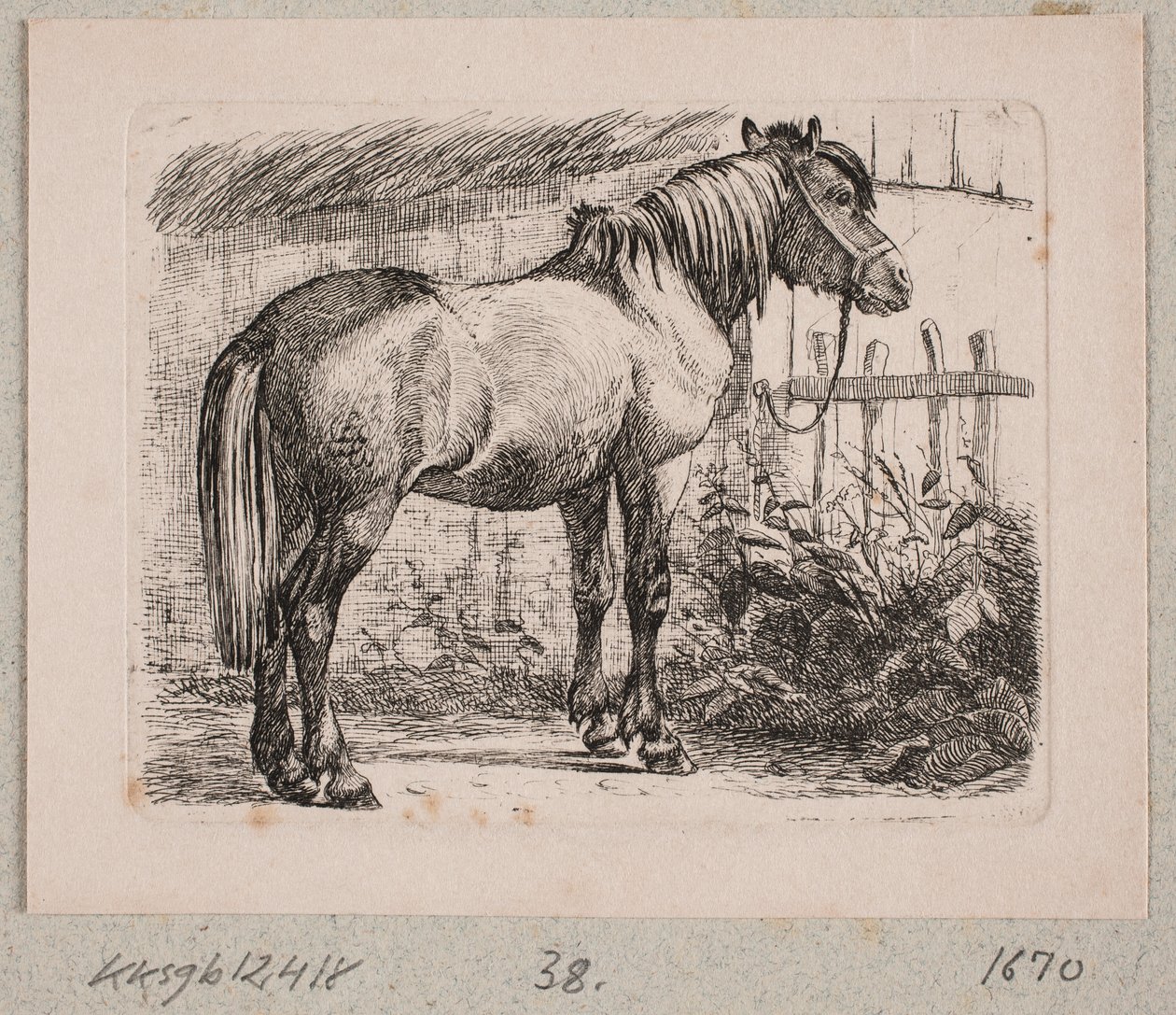 En häst med grimma av Johannes Wilhelm Zillen