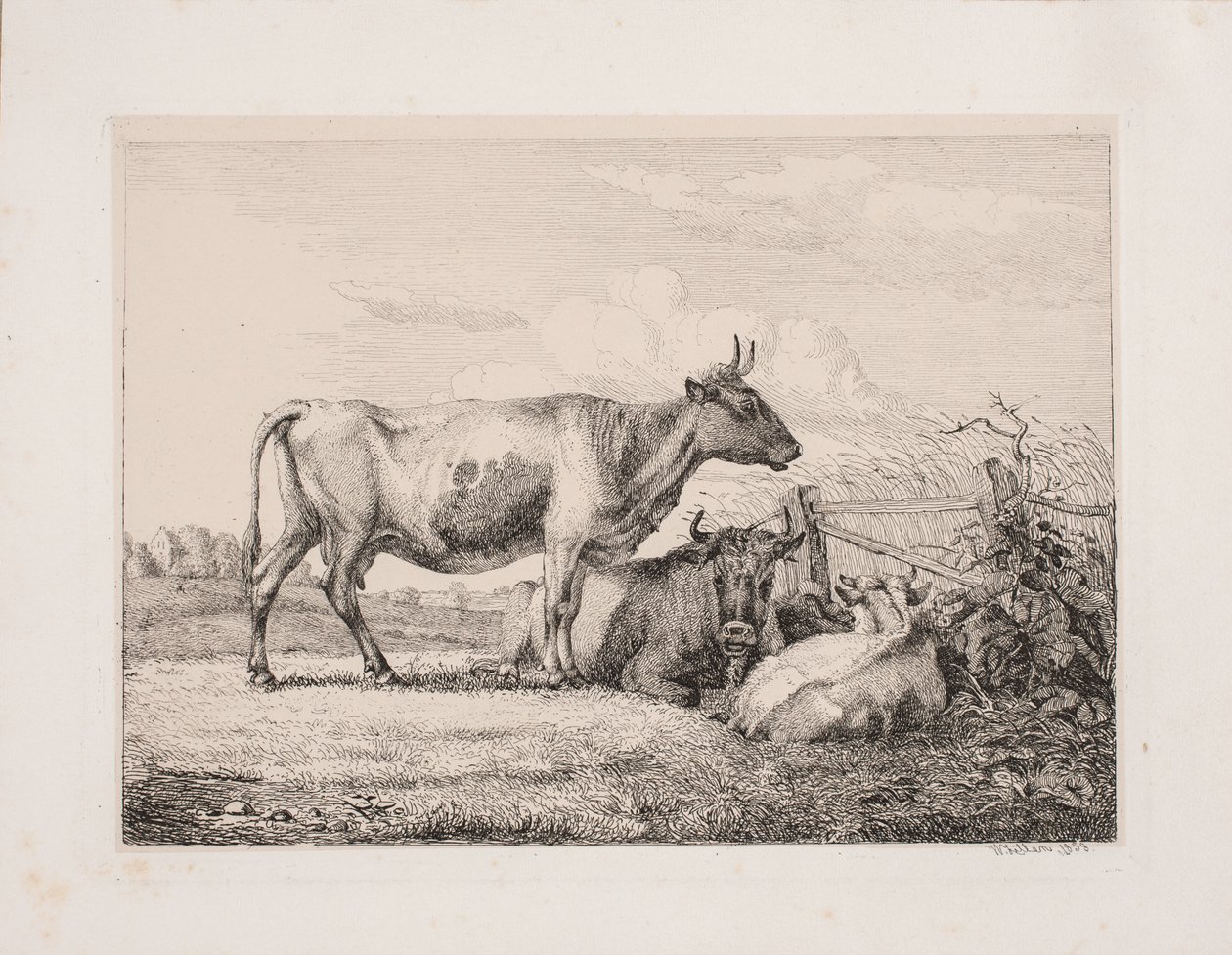 Kor på fältet av Johannes Wilhelm Zillen