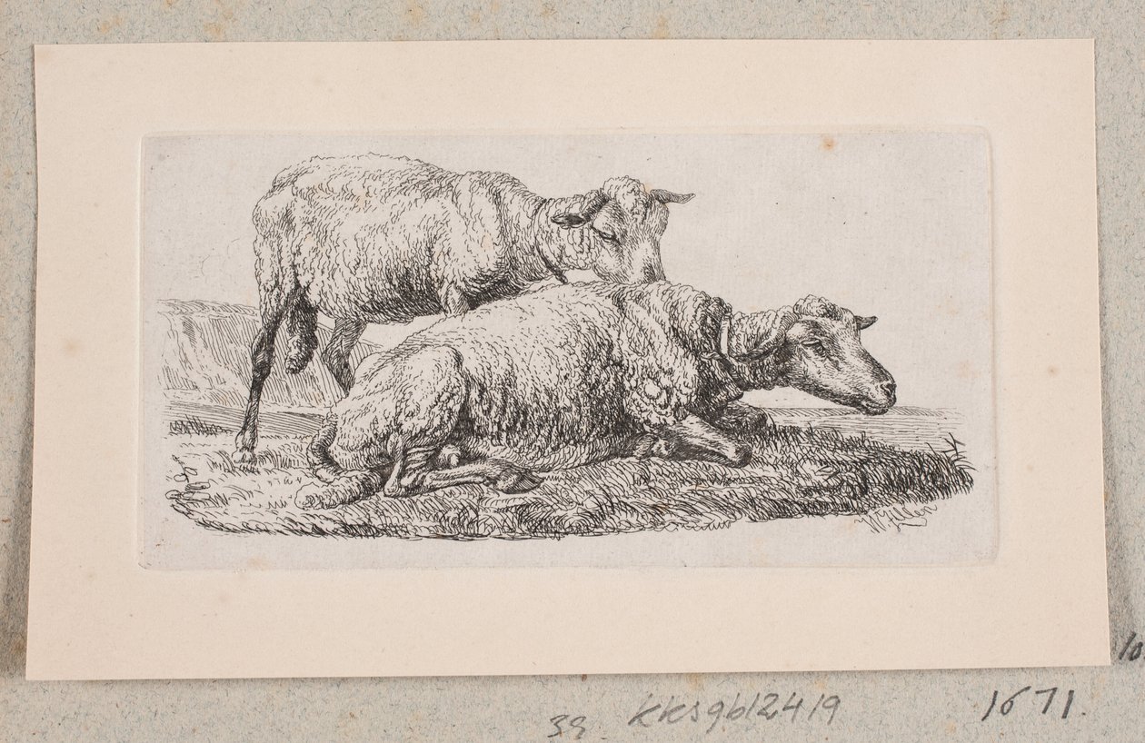 Två får av Johannes Wilhelm Zillen