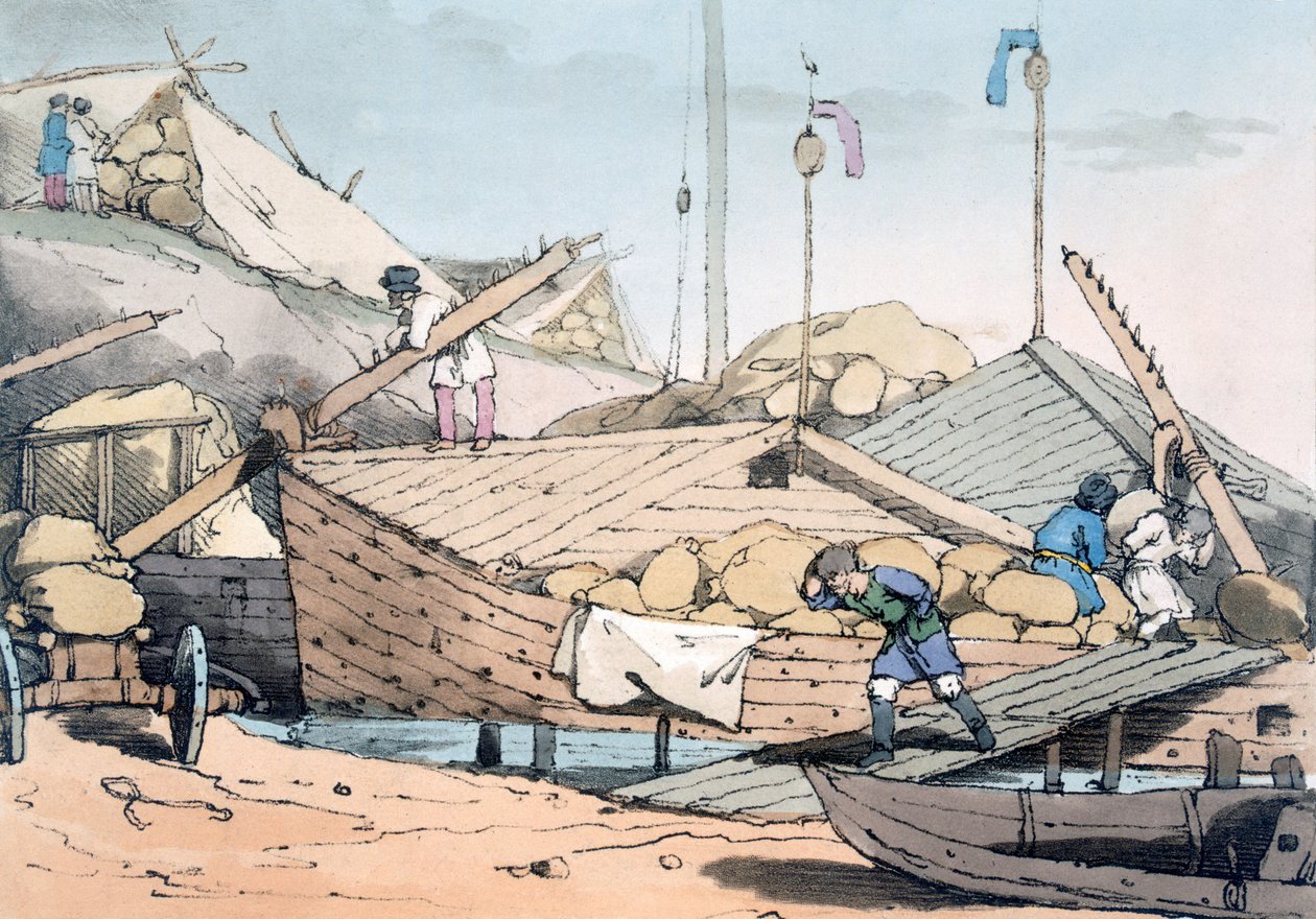 Majsbarkar, 1803 av John Augustus Atkinson