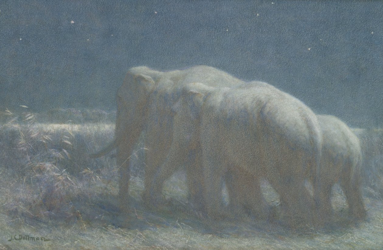 Natt, 1908 (wc och krita på papper) av John Charles Dollman