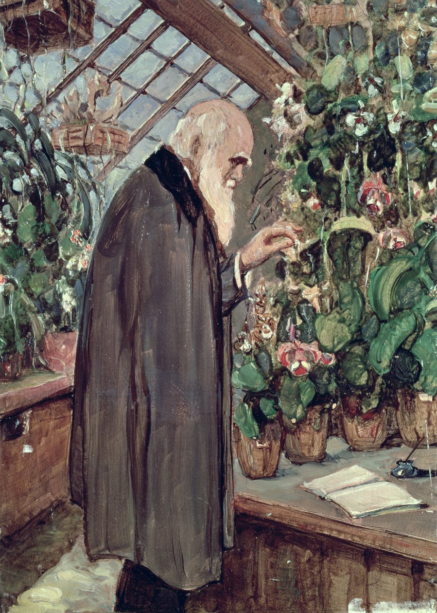 Charles Robert Darwin (1809-82) av John Collier