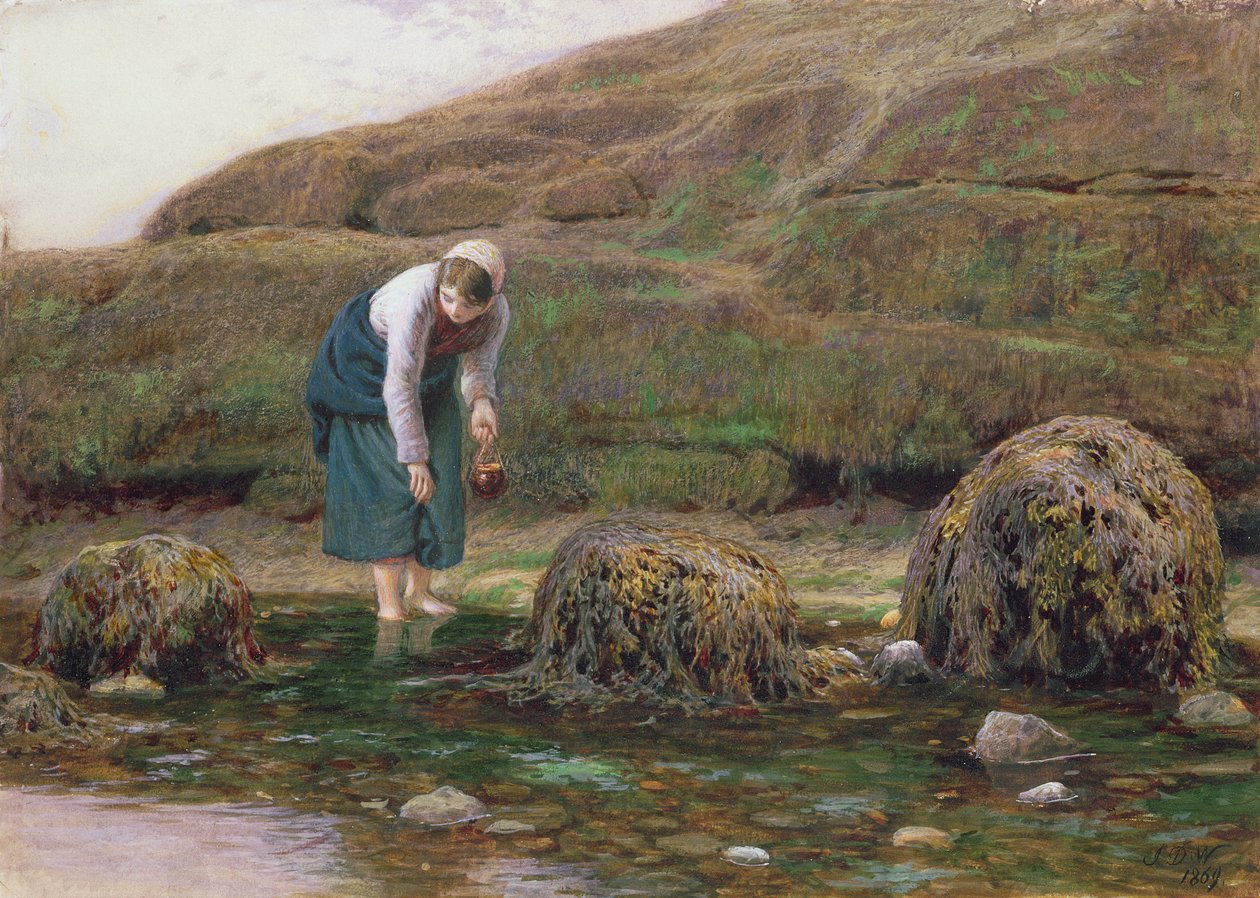 Vinkelns samlare, 1869 av John Dawson Watson
