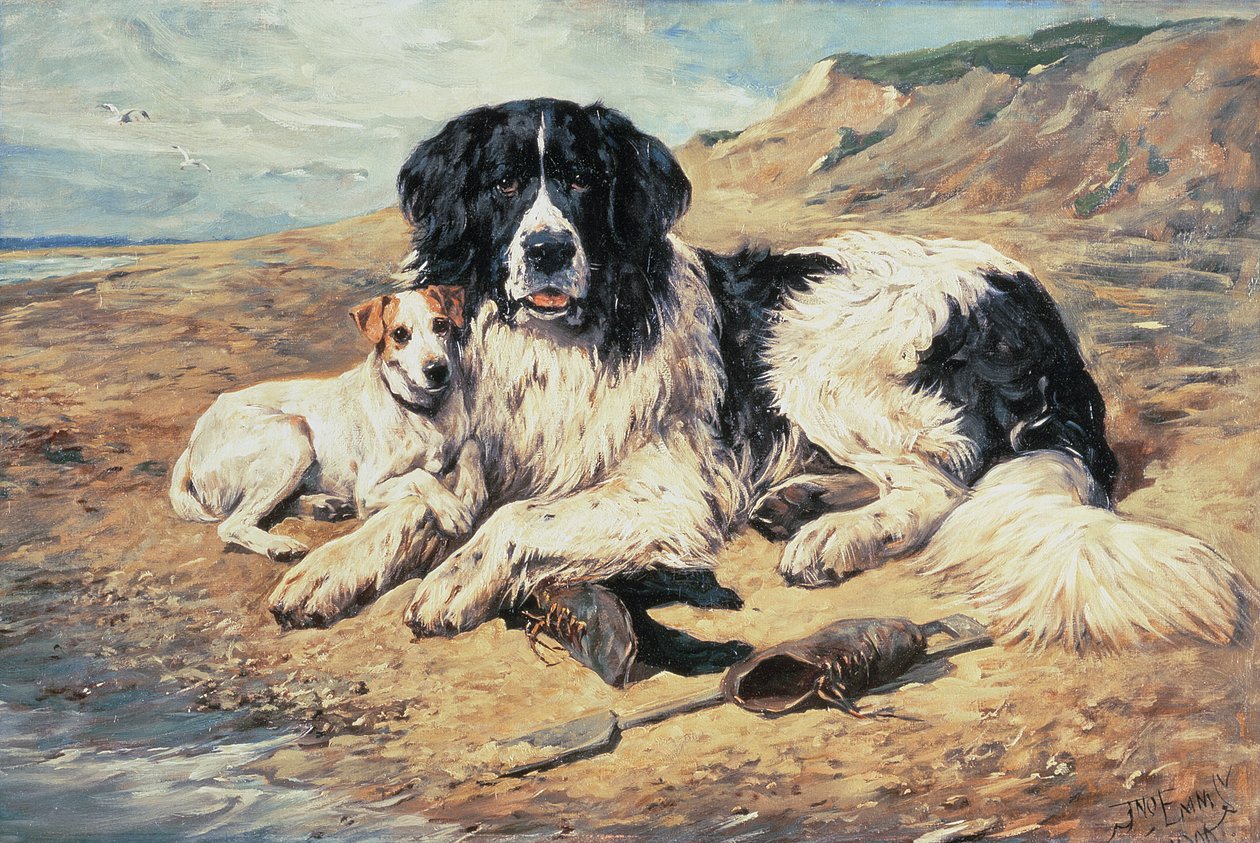 Hundar som tittar på badande, 1900 av John Emms