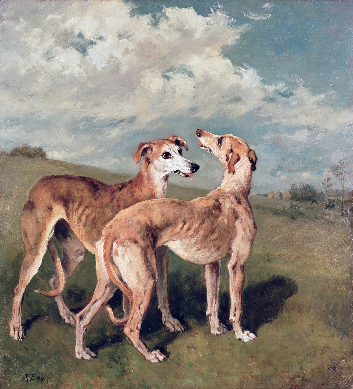 Greyhounds av John Emms