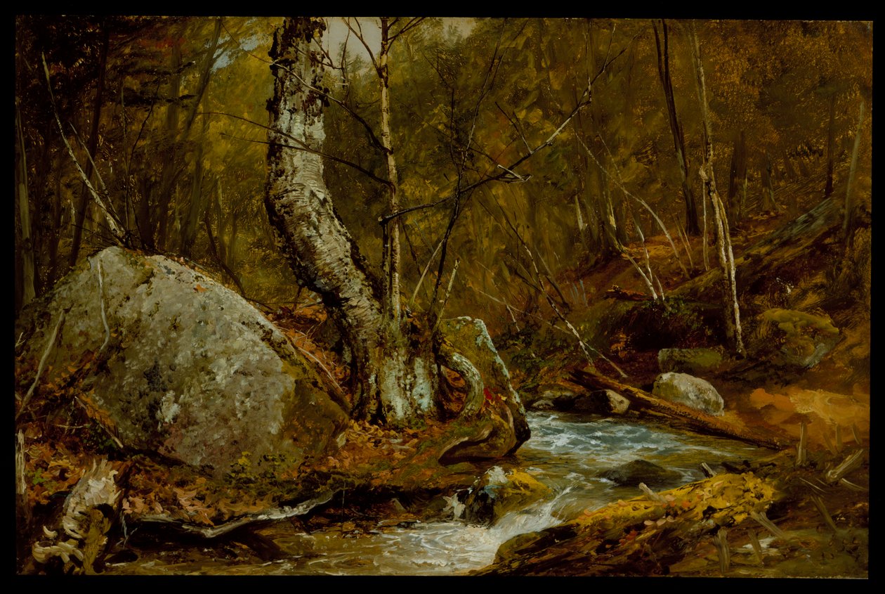 Woodland Interior, c.1850-55 av John Frederick Kensett