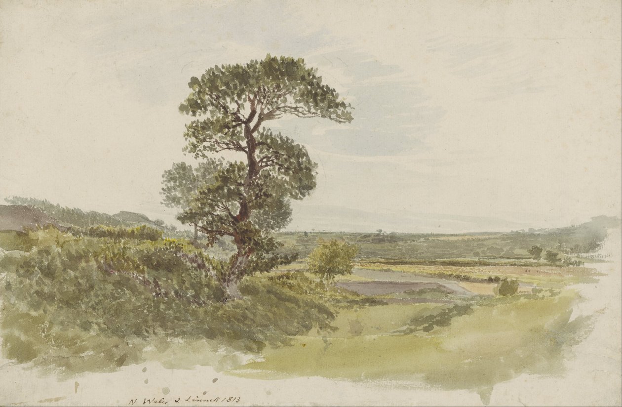 A Landscape in Snowdonia with a Tree in the Foreground av John Linnell