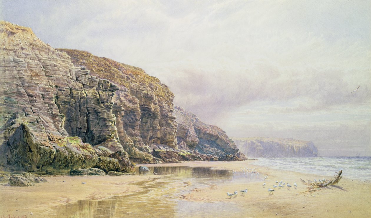 Cornwalls kust av John Mogford