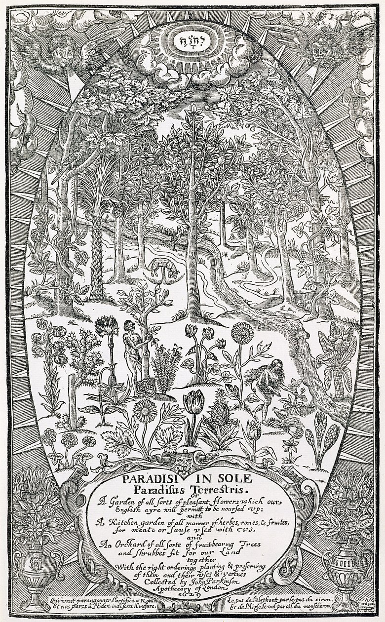 Titelsida från Paradisi Sole; Paradisus Terrestris, 1629 av John Parkinson