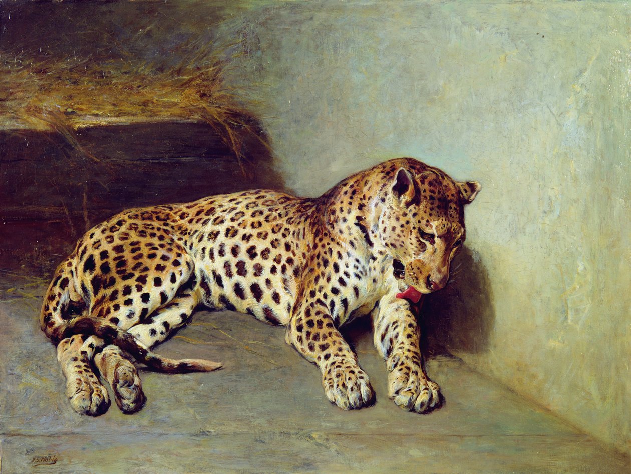 Leoparden av John Sargent Noble