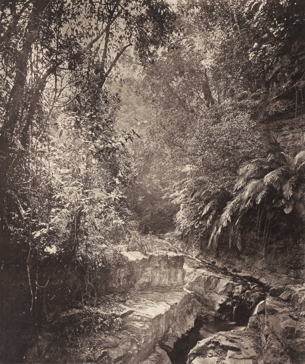 Ett bergspass på ön Formosa av John Thomson