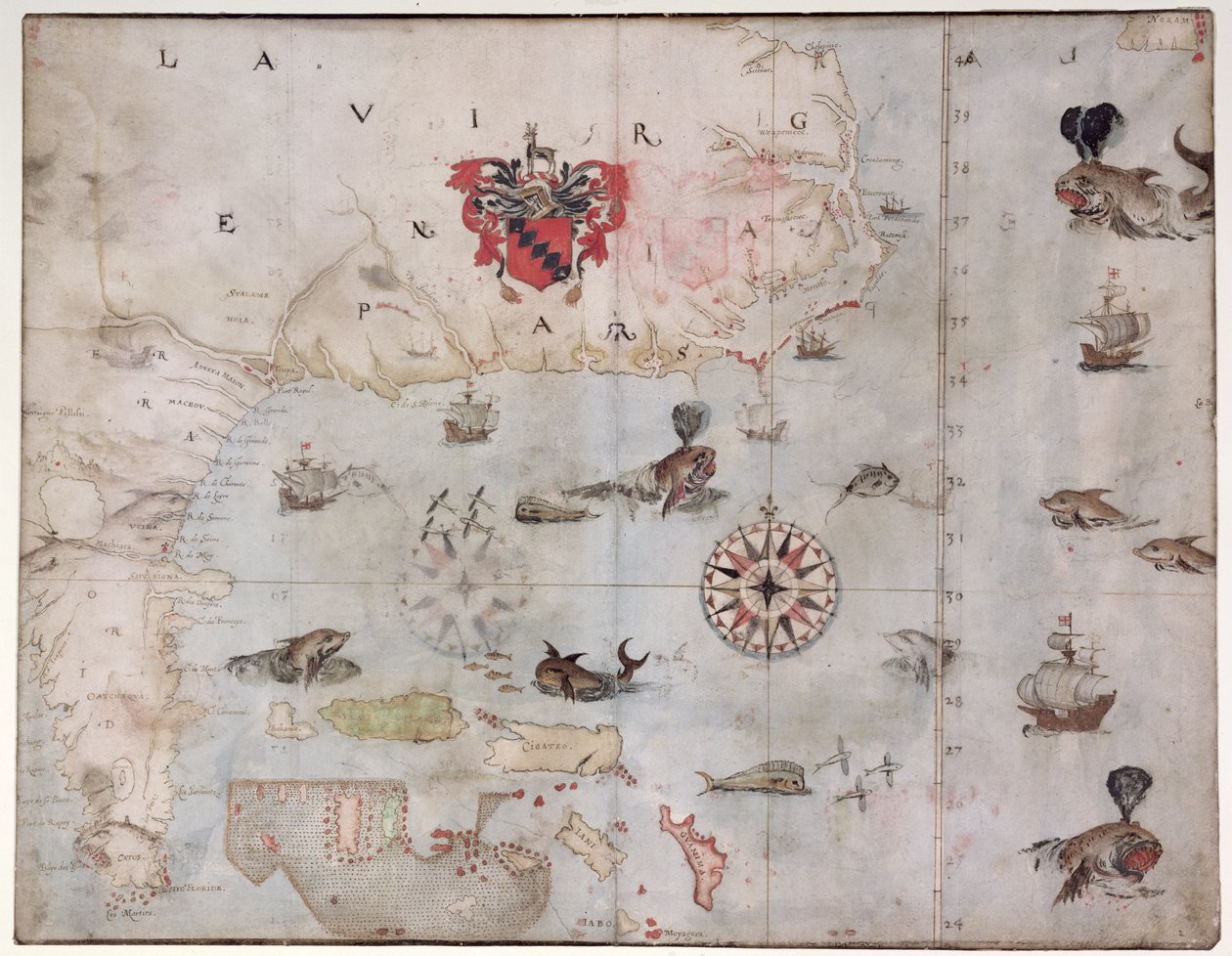 Karta över östra Nordamerika: Florida till Chesapeake Bay (litografi) av John White