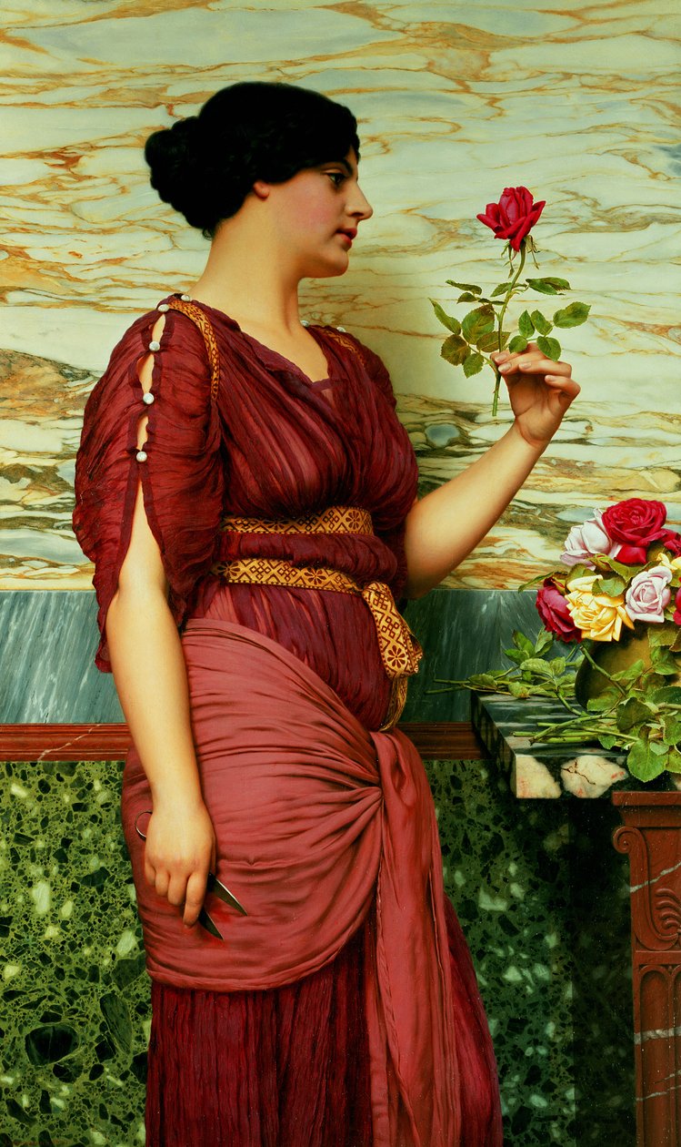 En röd, röd ros av John William Godward