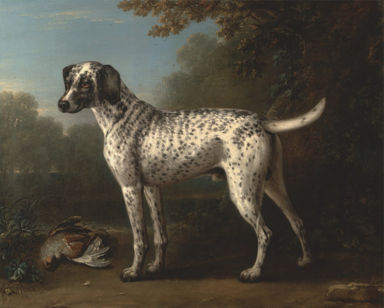A Grey Spotted Hound av John Wootton