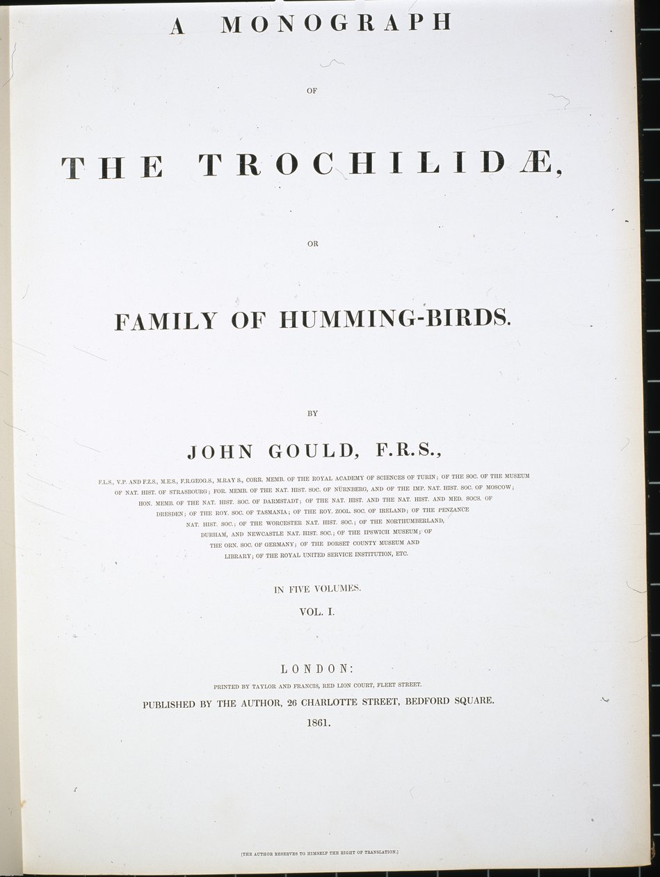 Frontispice (handfärgad litho) av John (after) Gould