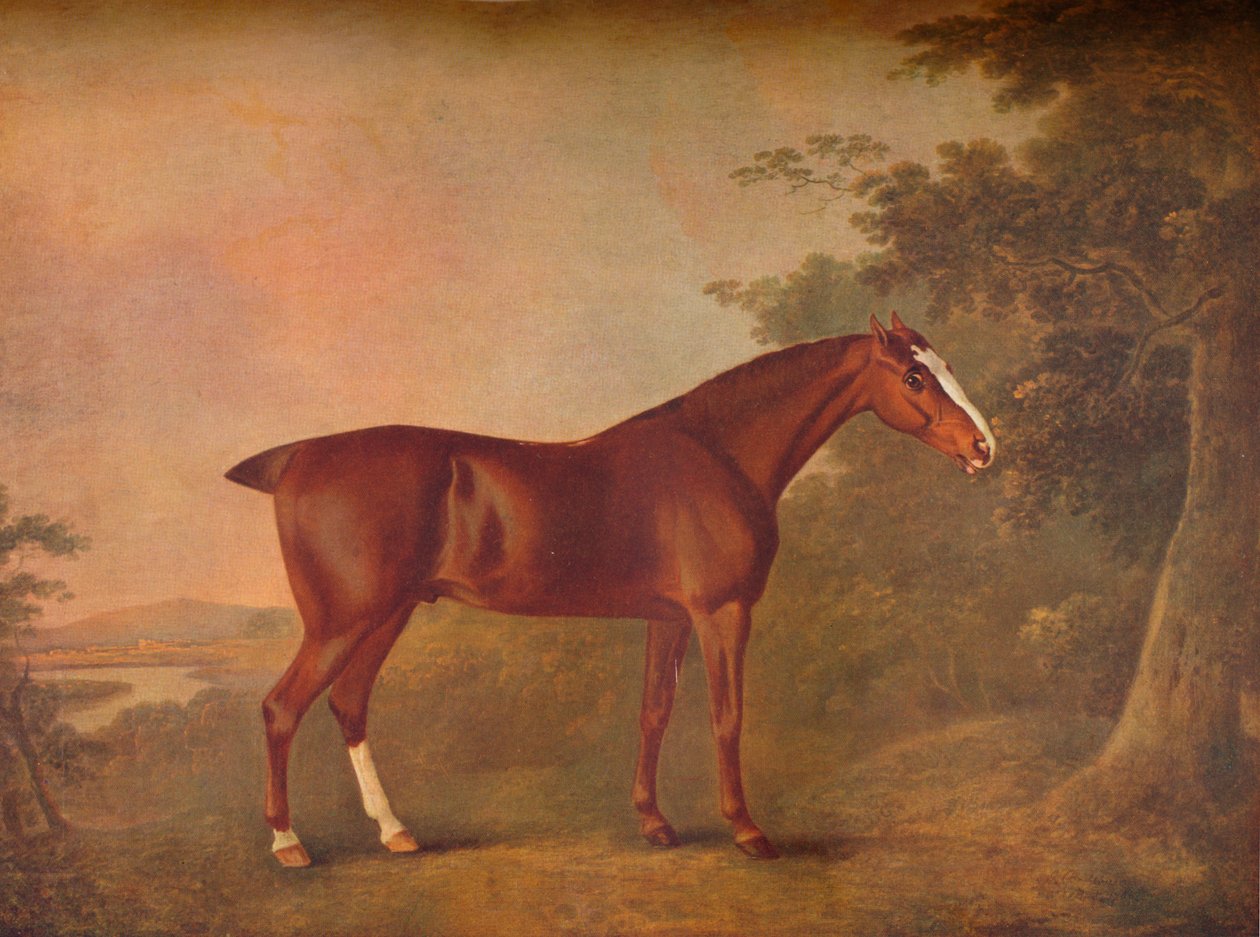 "En mörk kastanj", 1788 av John Boultbee
