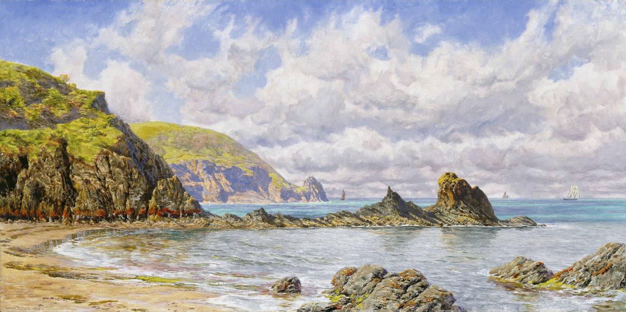 Forest Cove, Cardigan Bay av John Brett