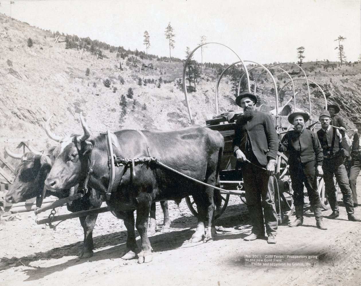 Guldfeber i South Dakota av John C. H. Grabill