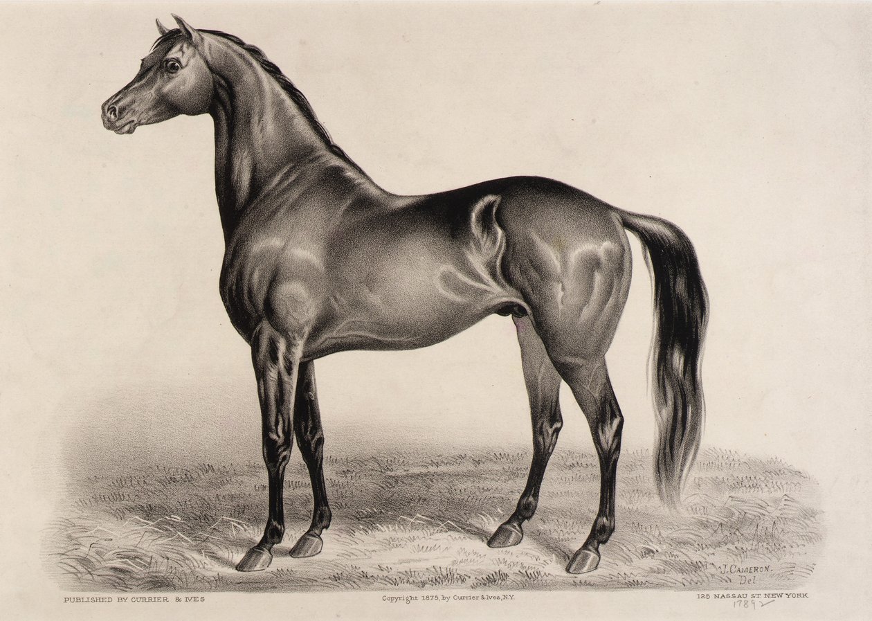 Redpath av John Cameron