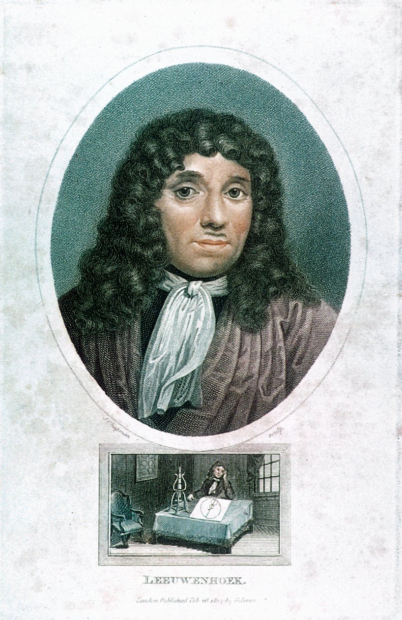 Anton van Leeuwenhoek 1632-1723, holländsk mikroskopist, c1810 av John Chapman