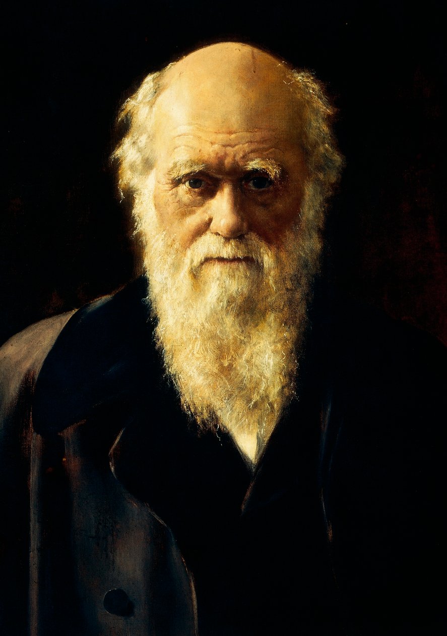 Porträtt av Charles Darwin av John Collier