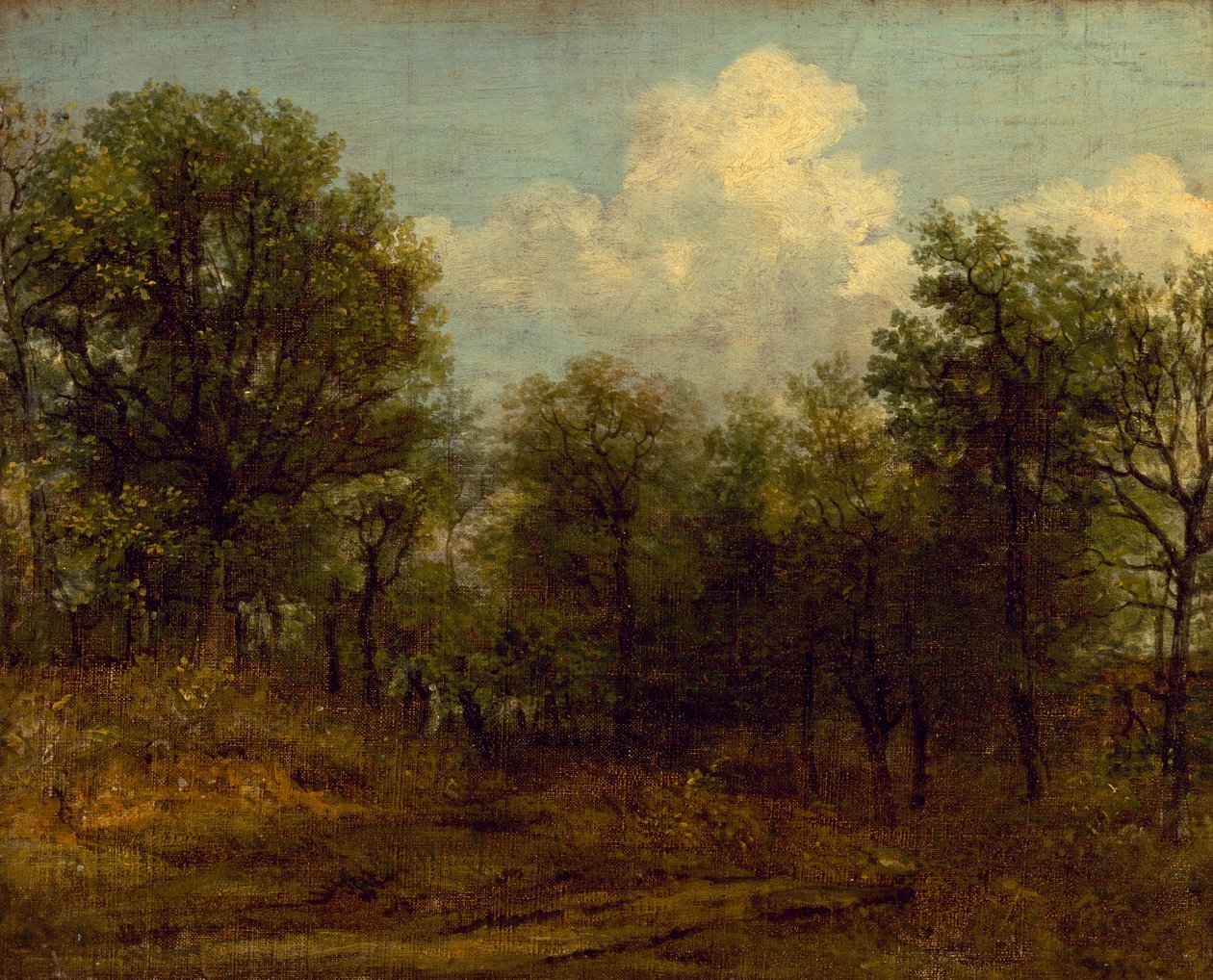 A Wood (oljemålning) av John Constable