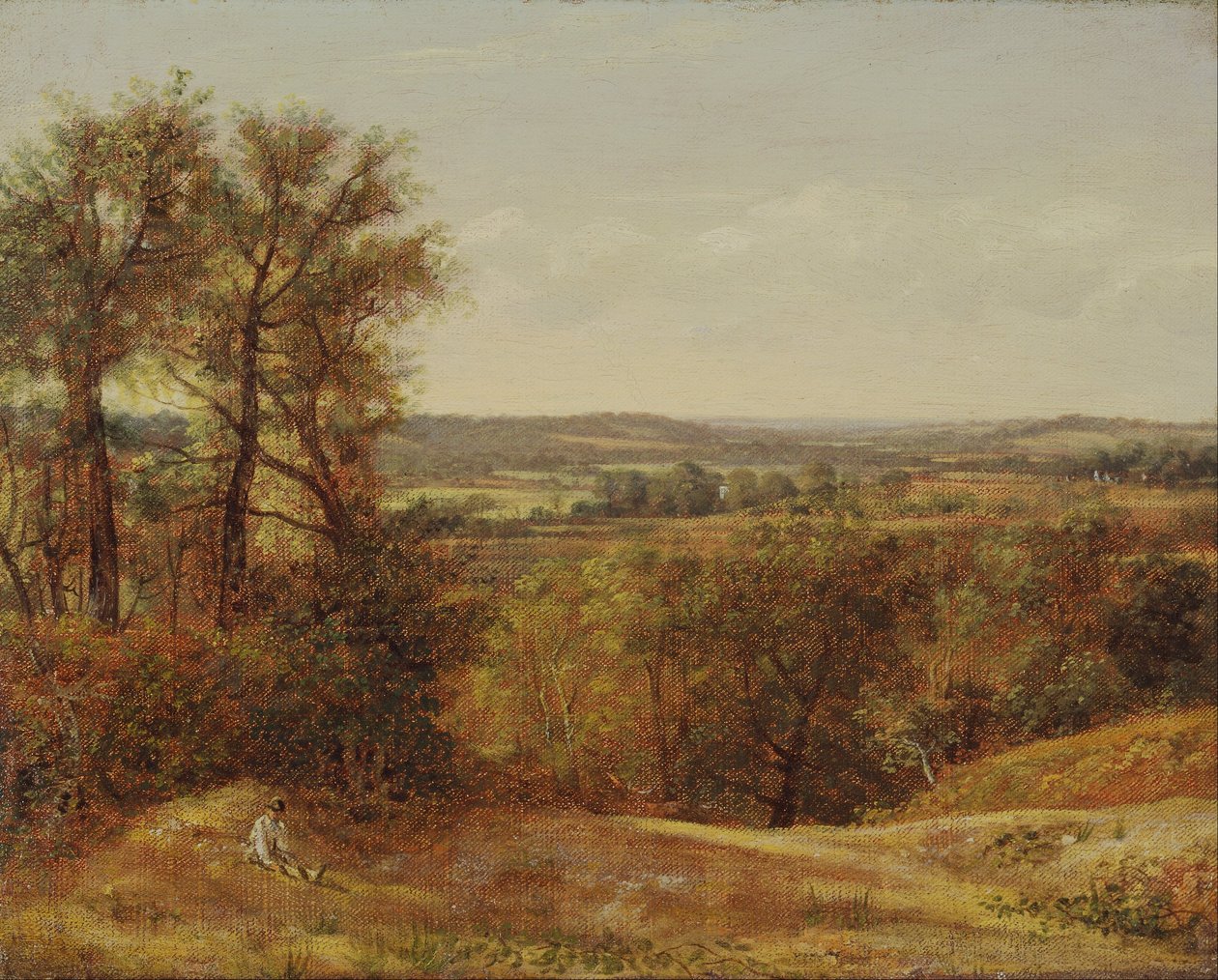 Dedham Vale av John Constable