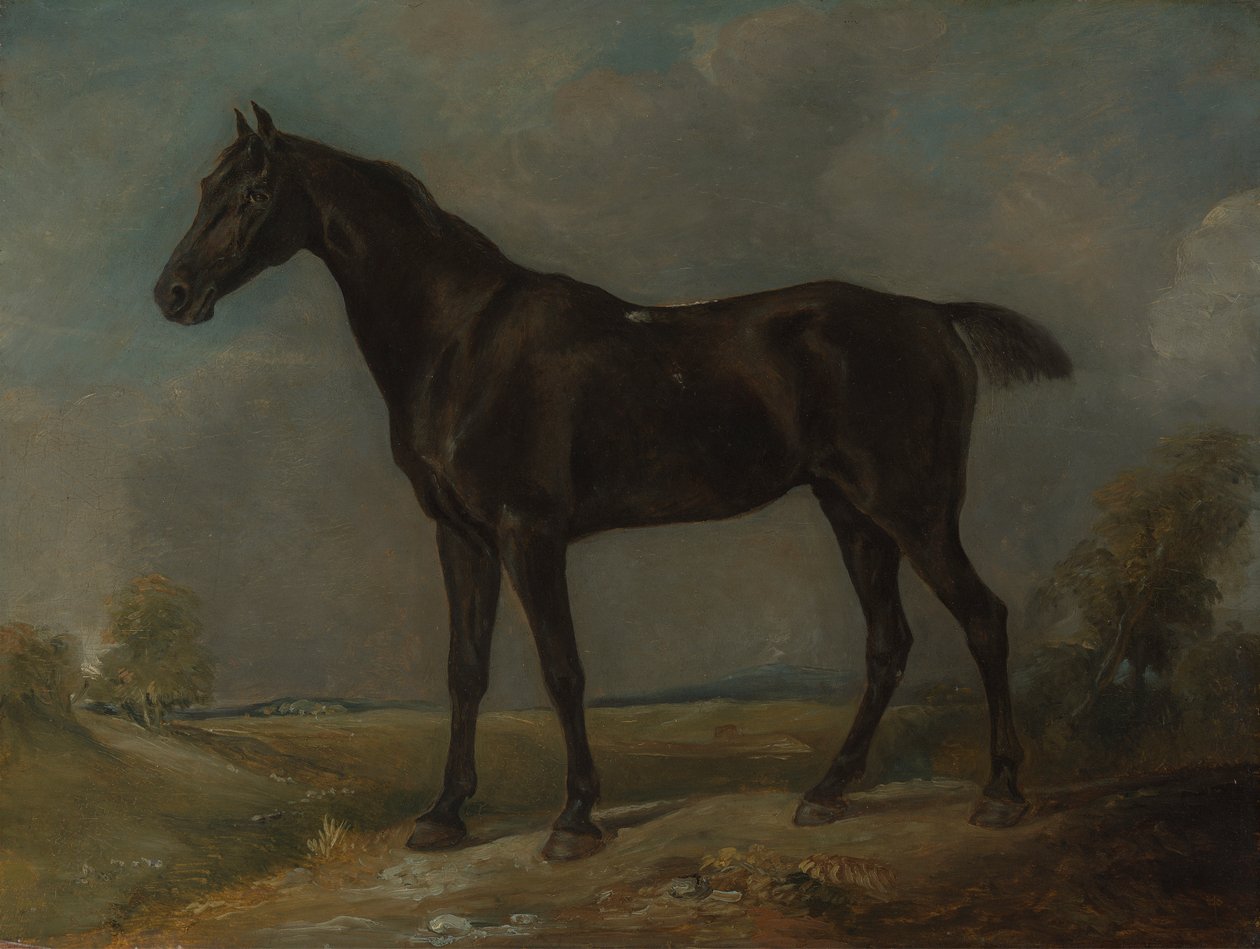 swedish av John Constable