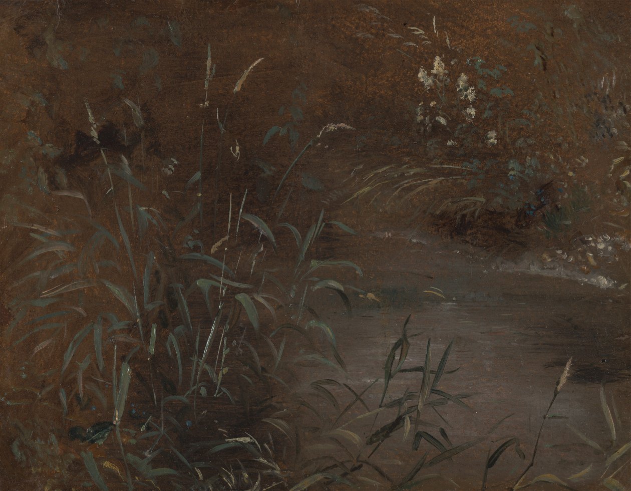 Rusar vid en pool av John Constable