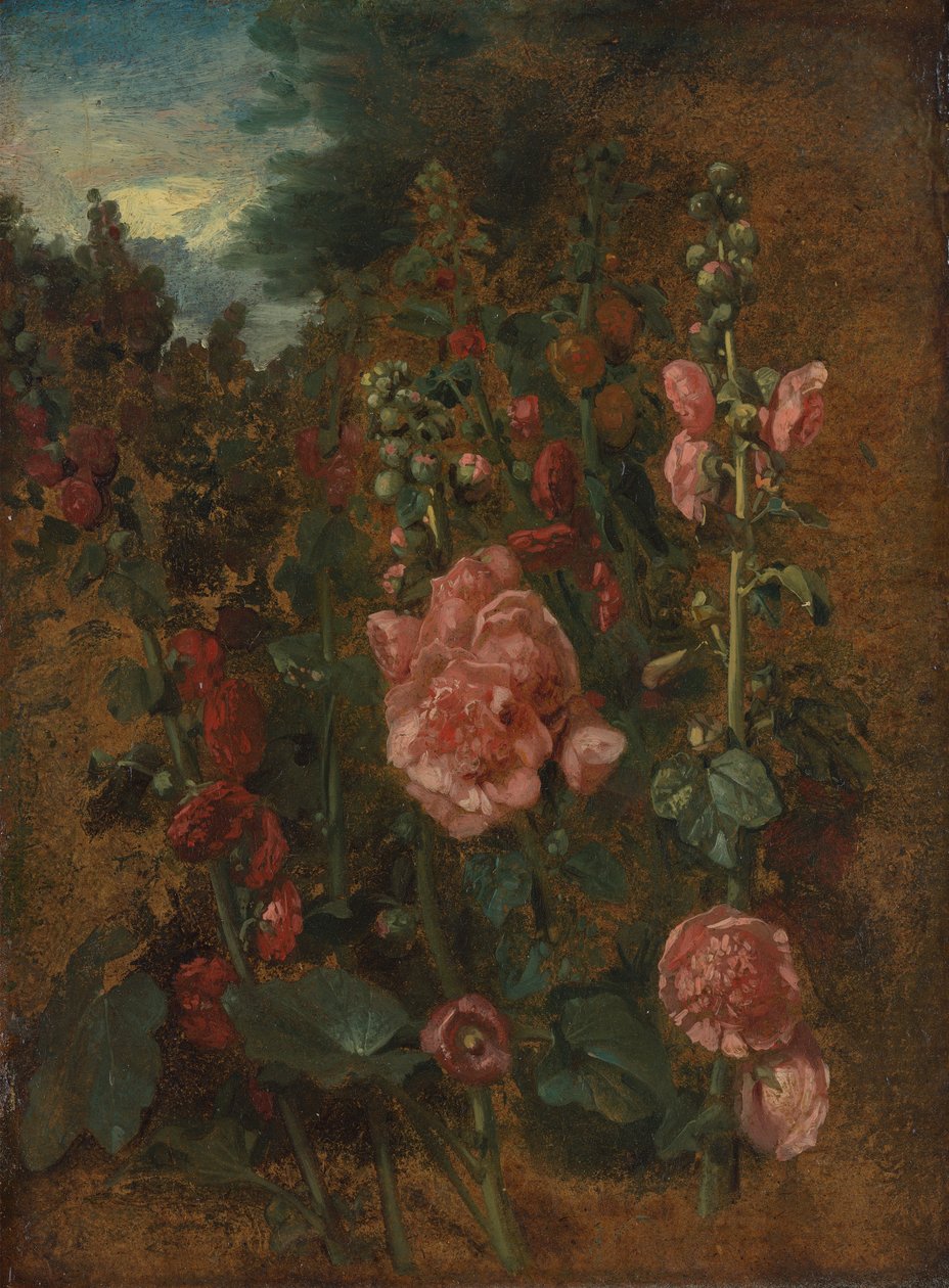 Studie av stockrosor av John Constable