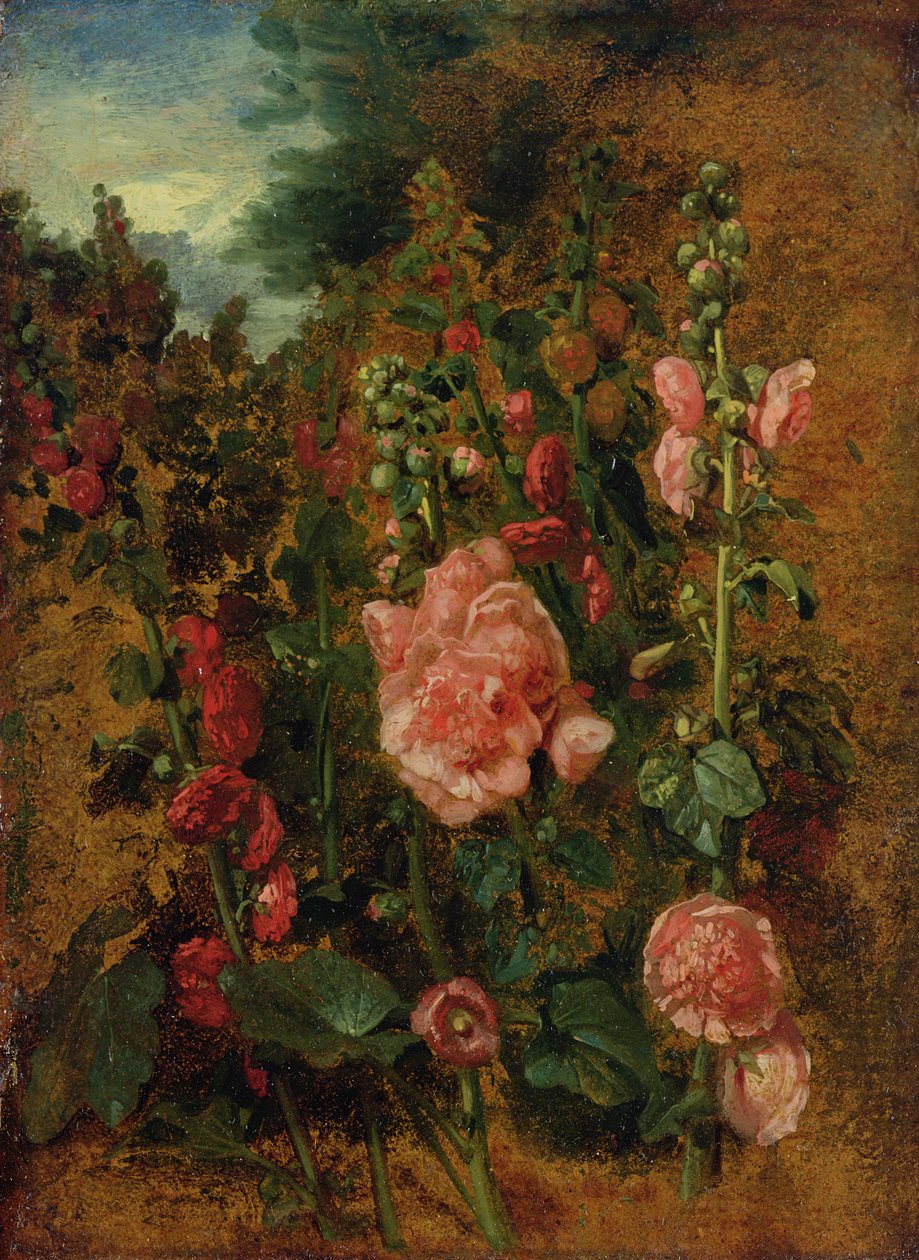 Study of Hollyhocks, c.1826 av John Constable