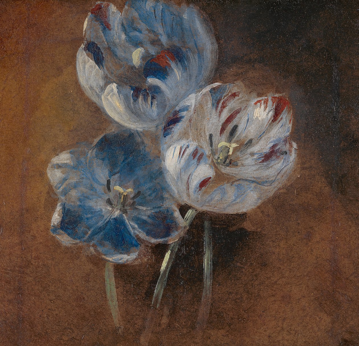 Studie av tre papegojtulpaner, ca. 1832. av John Constable