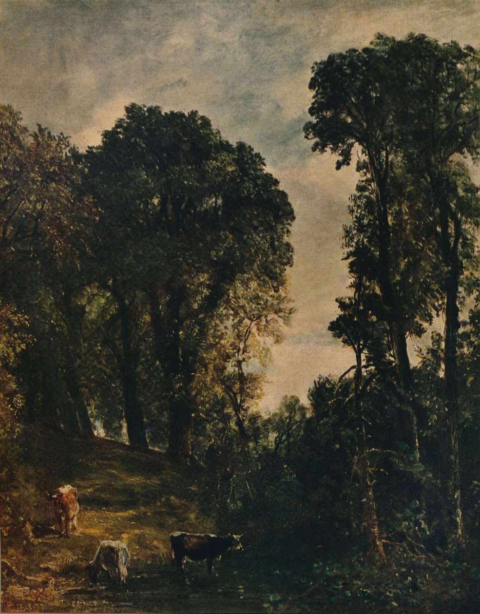 Träd nära Hampstead Church, 1829, c1915 av John Constable