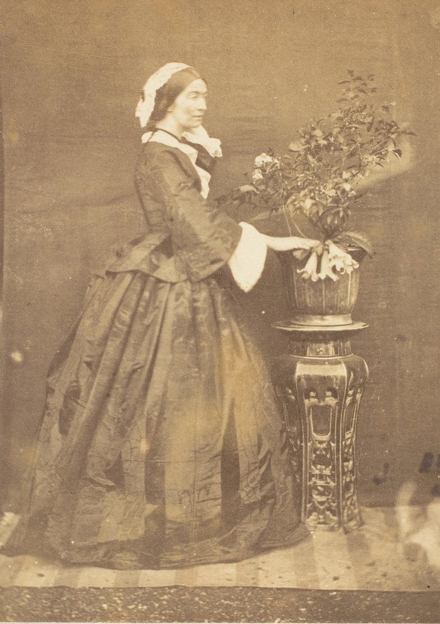 [The Viscountess Canning, Barrackpore], 1858. av John Constantine Stanley
