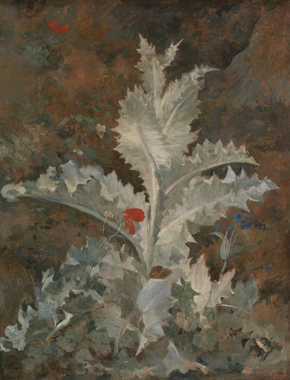 En tistel av John Crome
